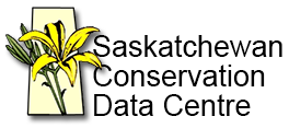 SK CDC logo