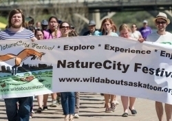 Wild Saskatoon