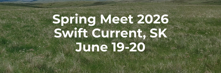 Spring Meet Banner 2026