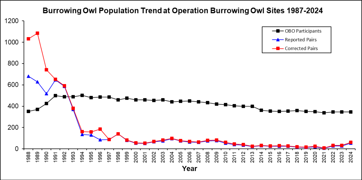 Burrowing Owl Population trend graph 2024